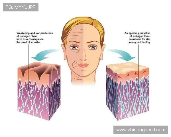 科学运动抗衰老打造健康长寿活力人生新方式全面提升身心机能实践指南