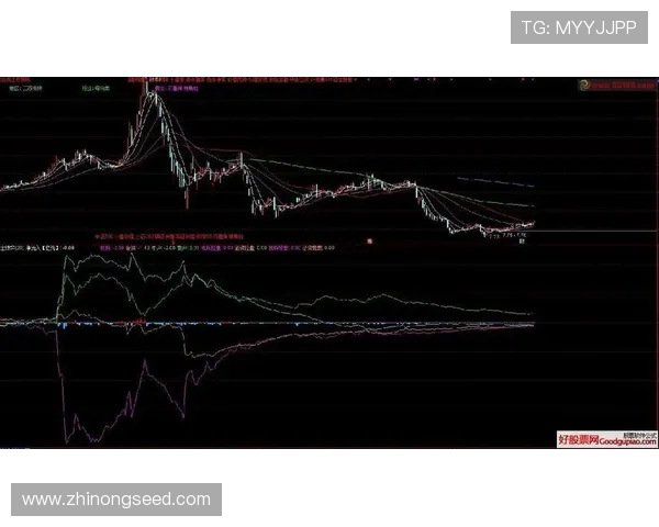 盘口变动分析视角下资本流向与市场趋势风险博弈深度解析研究探讨 - 副本 - 副本 (2) - 副本 盘口变动分析视角下资本流向与市场趋势风险博弈深度解析研究探讨 - 副本 - 副本 (2) - 副本