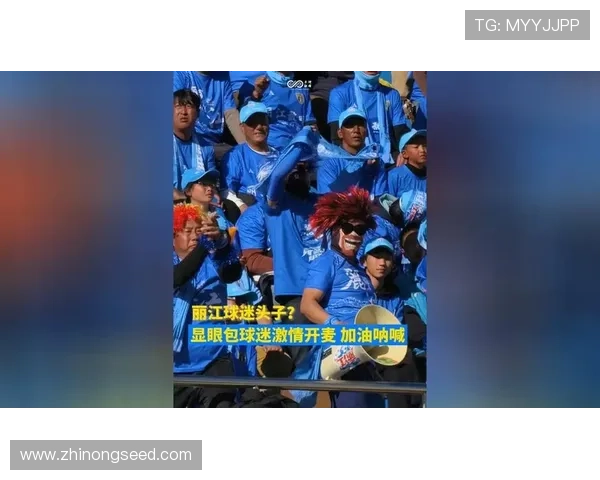 球迷村预订全攻略畅享赛事激情住宿体验升级专属服务与超值优惠指南 - 副本 - 副本 (3)