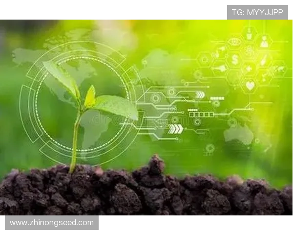 绿色科技引领世界杯回收材料球衣可持续时尚新未来探索环保新篇章 - 副本 (4)