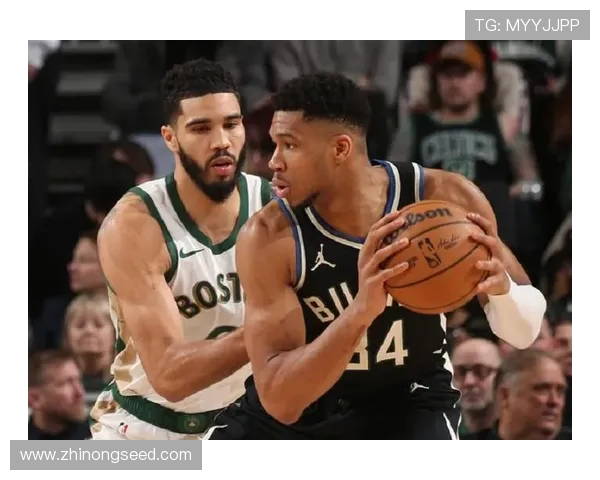 聚焦NBA赛程解读球队走势与关键对决全景指南赛季节奏分析前瞻 - 副本 (4) - 副本 - 副本