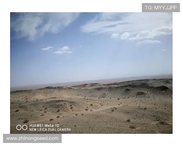 聚焦世界室内保龄球锦标赛的荣耀与挑战之路全球竞技风云与未来展望 - 副本 (5) - 副本 - 副本