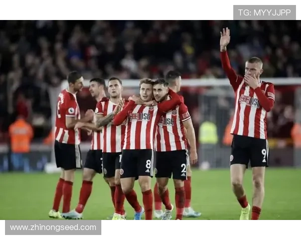 聚焦全球体育最新动态与赛场风云变幻趋势解析冠军之路与焦点赛事前瞻 - 副本 - 副本 (2) 聚焦全球体育最新动态与赛场风云变幻趋势解析冠军之路与焦点赛事前瞻 - 副本 - 副本 (2)