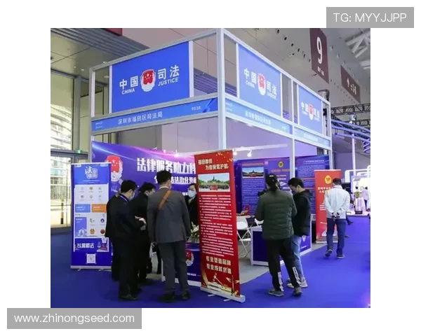 聚焦体育法律咨询服务创新与行业发展新路径探索实践高质量转型 - 副本 - 副本 (2) - 副本 - 副本