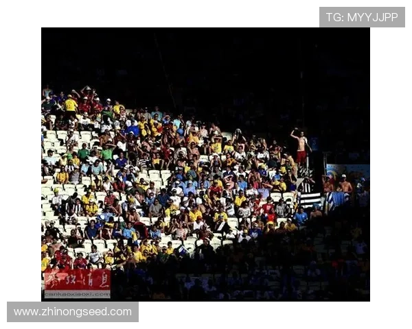 世界杯数字藏品全面解析带你领略虚拟收藏新潮流