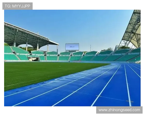 聚焦全球赛场风云打造专业深度体育栏目新视界引领全民运动热潮时代 - 副本 (2) - 副本 - 副本 - 副本