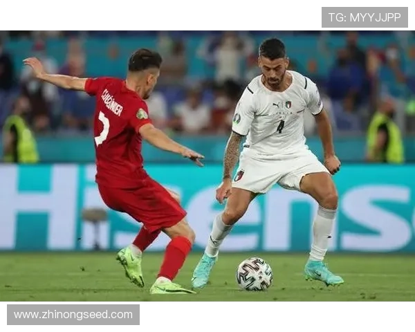 欧洲杯精彩瞬间回顾与赛事亮点全解析