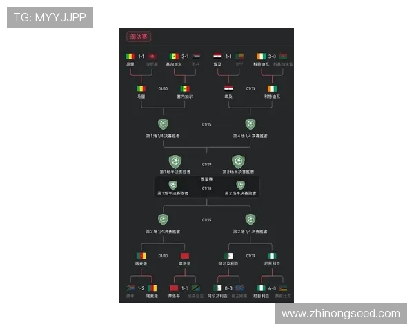 非洲杯赛程最新动态:各队备战情况与热门球员分析 非洲杯赛程最新动态:各队备战情况与热门球员分析