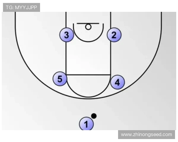 全面解析本赛季篮球球员数据表现与战术效率分析报告 全面解析本赛季篮球球员数据表现与战术效率分析报告