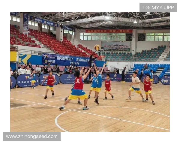 篮球比赛免费直播全面开启，精彩赛事随时观看，畅享极速高清直播体验