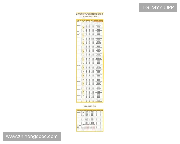 2026篮球赛季全程赛程安排详解 各大赛事时间及对阵一览 - 副本 - 副本