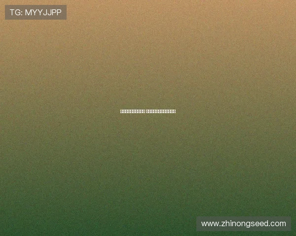 世界杯最新资讯全覆盖 球星动态赛程比分即时追踪 世界杯最新资讯全覆盖 球星动态赛程比分即时追踪